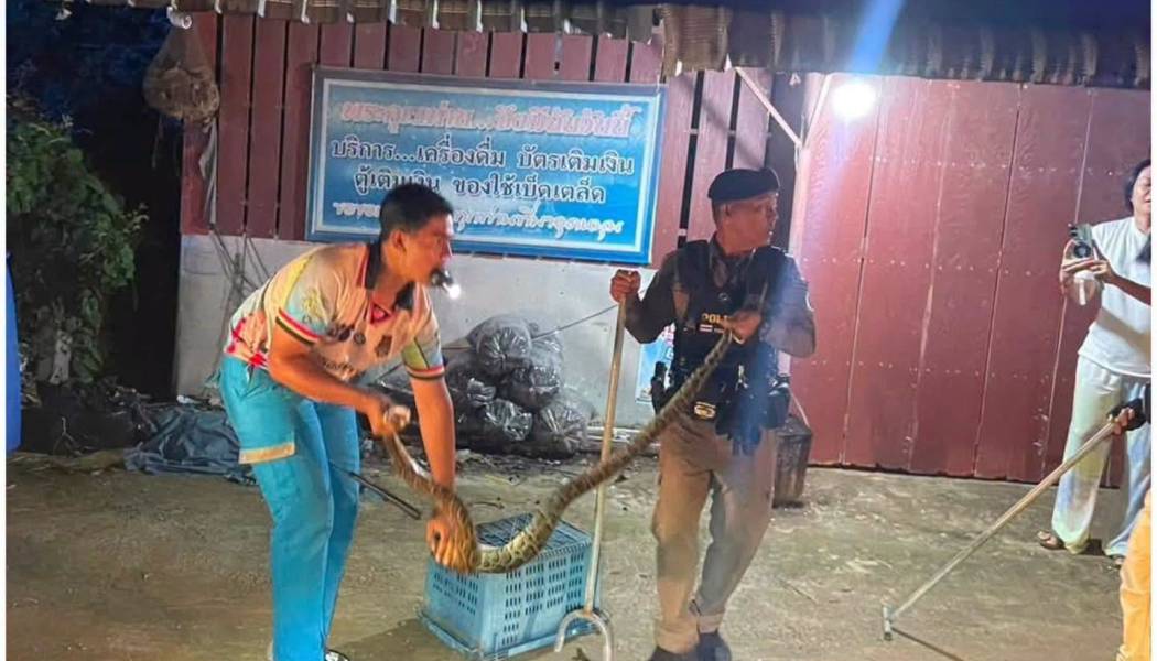 สภ.อรัญประเทศ พร้อมด้วย อส.ตร. และ อส. กู้ภัยออกช่วยเหลือประชาชนแจ้งเหตุมีสัตว์เลื้อยคลานเข้าบ้าน